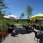 萨尔格米纳区 - 勿忘我草住宿加早餐旅馆