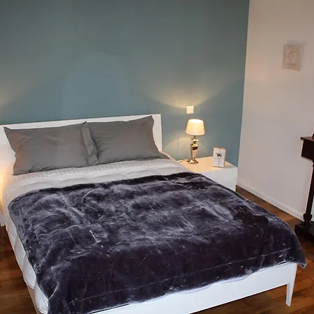 Les Myosotis D'hotes - Sarreguemines 3*