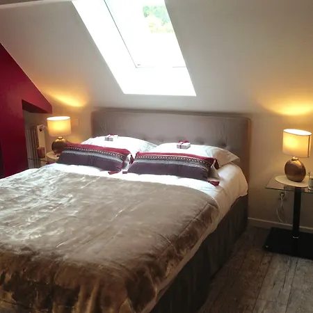 Les Myosotis D'hotes - Sarreguemines Zetting