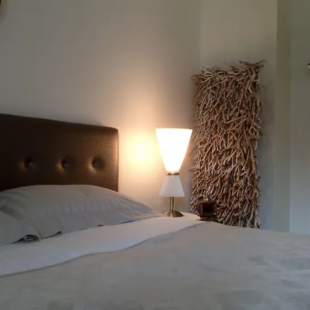 Les Myosotis D'hotes - Sarreguemines Zetting