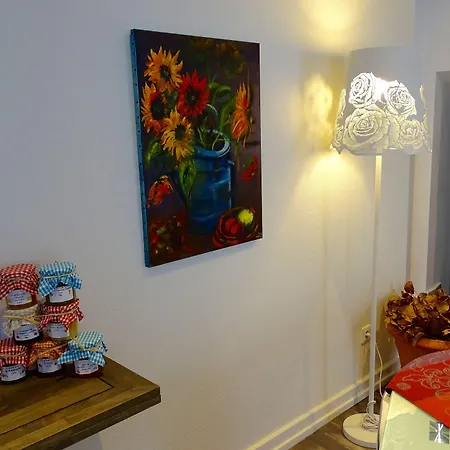 Les Myosotis D'hotes - Sarreguemines 3* Zetting