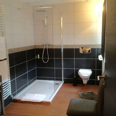 Les Myosotis D'hotes - Sarreguemines