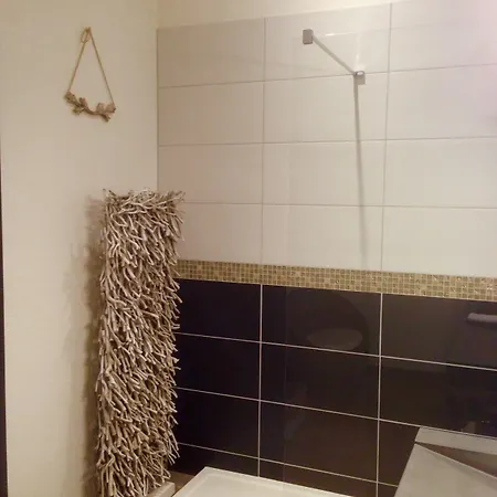 Les Myosotis D'hotes - Sarreguemines 3* Zetting