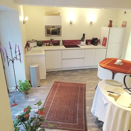 Les Myosotis D'hotes - Sarreguemines Bed & Breakfast