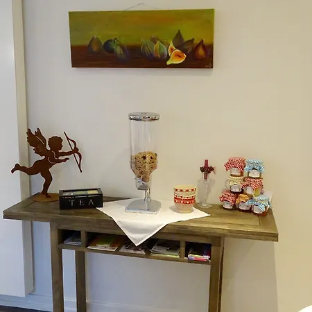 Les Myosotis D'hotes - Sarreguemines Bed & Breakfast