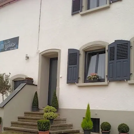 Les Myosotis D'hotes - Sarreguemines 3*