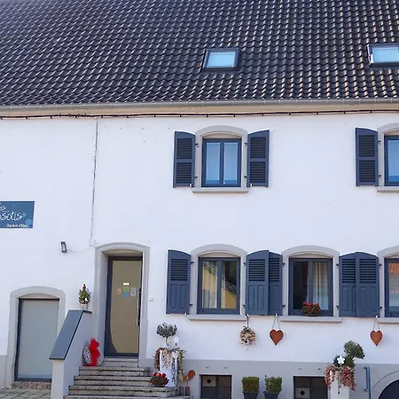 Les Myosotis D'hotes - Sarreguemines 3* Zetting