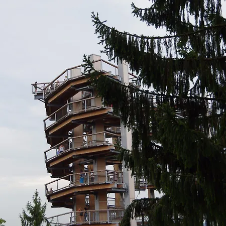 Les Myosotis D'hotes - Sarreguemines 3*