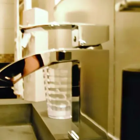 Les Myosotis D'hotes - Sarreguemines 3*