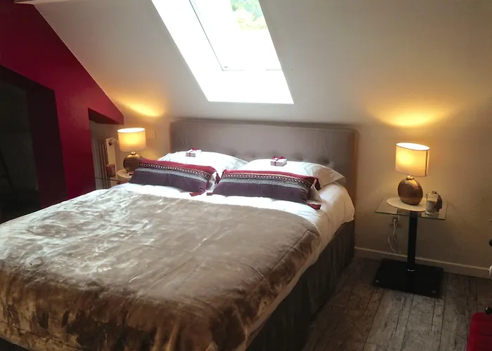 Les Myosotis D'hotes - Sarreguemines Zetting