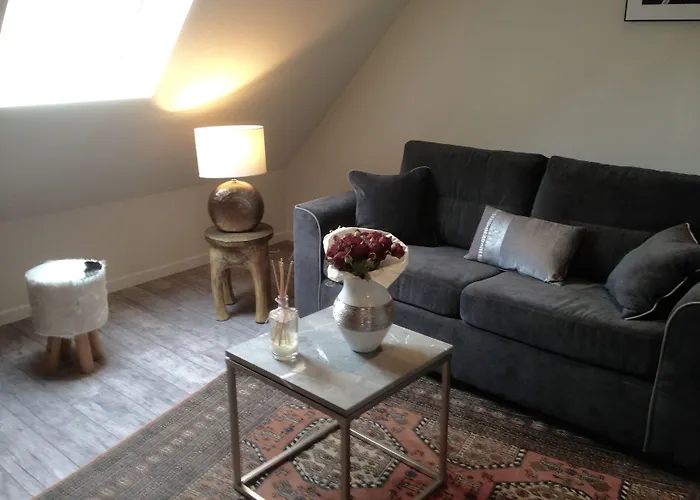 Bed & Breakfast Les Myosotis D'hotes - Sarreguemines