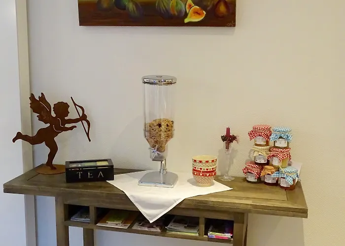 Les Myosotis D'hotes - Sarreguemines Bed & Breakfast