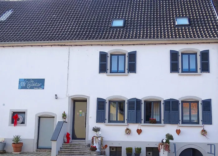 Les Myosotis D'hotes - Sarreguemines 3* Zetting