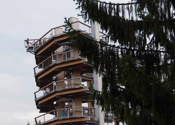 Les Myosotis D'hotes - Sarreguemines 3*