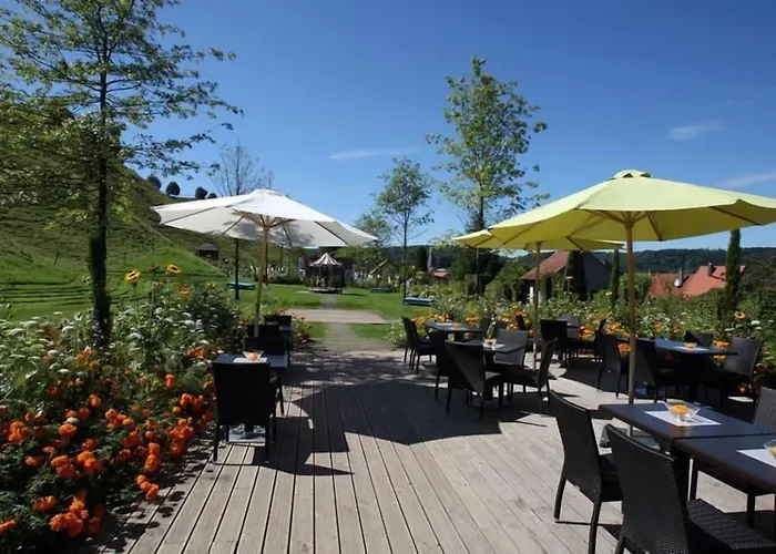 Les Myosotis D'hotes - Sarreguemines